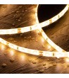 Ruban LED 12V SMD 60 LED/m 5m 5W/m 400lm/m Largeur 8mm Coupe 5cm IP65 - 107556 - vue 7