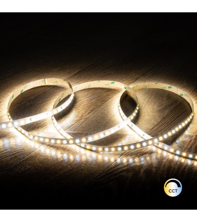Ruban LED CCT 12V DC SMD2835 120LED/m 5m IP20 Largeur 10mm Coupe 5cm - 107871 - vue 6