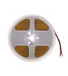 Ruban LED COB 24V DC 320LED/m 5m IP20 CRI90 Expert Color Largeur 8mm Coupe tous les 10cm - 96426 - vue 7
