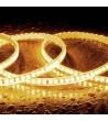 Ruban LED Dimmable 220V SMD2835 Auto-rectificateur 110 LED/m 1150 lm/m Largeur 12 mm IP65 Coupe tous less 10 cm Sur Mesure…