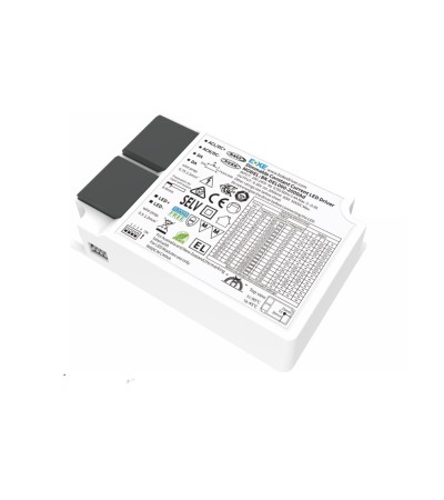 Driver BOKE Dimmable DALI/PUSH 200-240V Sortie No Flicker 6-42V 1400mA 60W BK-DEL060