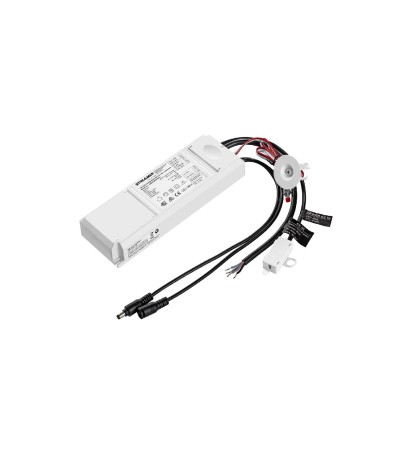 Driver de Secours pour Panneaux  LED Sortie 10-50V DC 3W avec Autotest