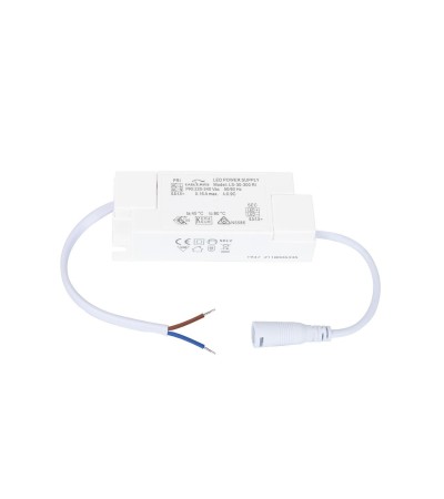 Driver EAGLERISE 220-240V Sortie 67-100V DC 300mA 30W No Flicker LS-30-300RI
