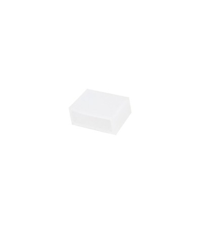 Embout pour Ruban LED 24V 60LED/m 5m Submersible IP68 Largeur 12mm