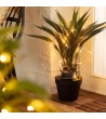 Guirlande LED Extérieure Solaire Lilac 2m - 75404 - vue 3