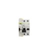 Interrupteur Différentiel Industriel Réarmable Compact 2P-300mA 40-63A-10kA Class A MATIS - 3137 - vue 4