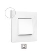 Kit Interrupteur Double LEGRAND Valena Next - 85961 - vue 1