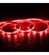 Kit Ruban LED WiFi 12V 72LED/m RGBWW 5m IP65 Coupe tous les 12.5cm - 55798 - vue 5