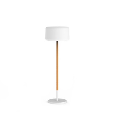 Lampadaire LED Extérieur RGBW Chloe Plant Solar Smarttech