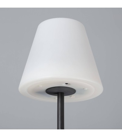 Lampadaire LED Extérieur Solaire Métal Larso - 6190 - vue 5
