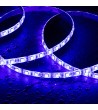 Ruban LED 12V RGB SMD 60 LED/m 5m 9W/m Largeur 10mm Coupe 5cm IP65 - 107595 - vue 8