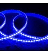 Ruban LED RGBIC Digital SPI 24V DC COB Silicone FLEX 360 LED/m 5m IP65 Largeur 12mm Coupe tous les 5 cm - 108030 - vue 11