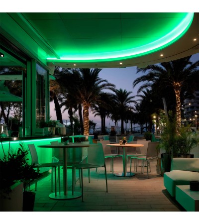 Ruban LED Néon Dimmable 220V BOBINE 50m Vert Circulaire 360 9W/m Coupe 100cm IP67 - 4415 - vue 2