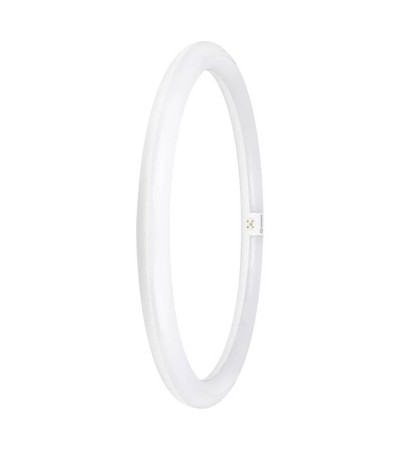 Tube LED T9C G10q PC 24 W 120 lm/W LEDVANCE - 116896 - vue 2