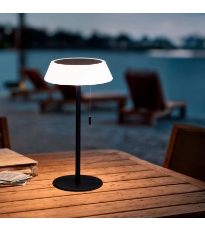 Lampe à Poser Solaire Extérieur LED 1.2W Métal Aldana