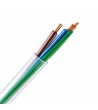 Câble Électrique Gaine 3 Conducteurs H03VV-F3 pour Barre Linéaire LUXOR PRO - 177207 - vue 2