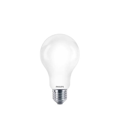 Ampoule LED E27 17.5W 2452 lm A67 PHILIPS CorePro 929002372601
