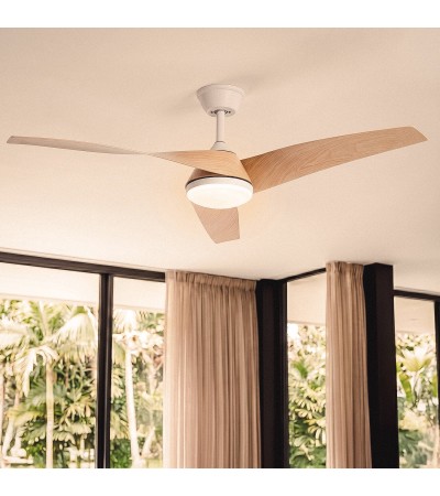 Ventilateur de Plafond avec Éclairage Silencieux DC Eubea