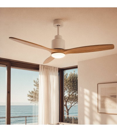 Ventilateur de Plafond avec Éclairage Silencieux DC Merion