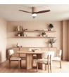 Ventilateur de Plafond avec Éclairage Silencieux DC Asteri - 178326 - vue 2