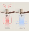 Ventilateur de Plafond avec Éclairage Silencieux DC Asteri - 178326 - vue 9