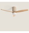 Ventilateur de Plafond avec Éclairage Silencieux DC Asteri - 178326 - vue 12