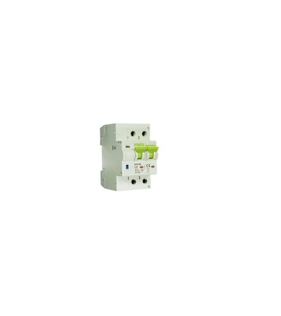 Dispositif Combiné de Protection contre les Surtensions Permanentes avec Réenclenchement MT66 IGA MAXGE 2P 180–270 V…