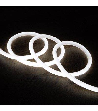 Ruban LED Néon Dimmable 220V Blanc Froid Circulaire 360 9W/m Coupe 100cm IP67 Sur mesure
