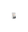 Pack Tableau Electrique IP30 18 Modules + 6 Disjoncteurs + Interrupteur Différentiel - 5277 - vue 4