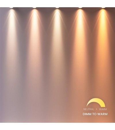Ampoule LED GU10 Sélectionnable 12W AR111S 24° 800lm - 105503 - vue 2