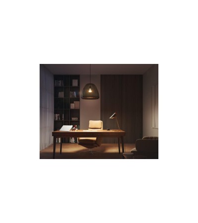 Ampoule LED Intelligente E27 15.5W 1600 lm A67 Hue White - 85807 - vue 2