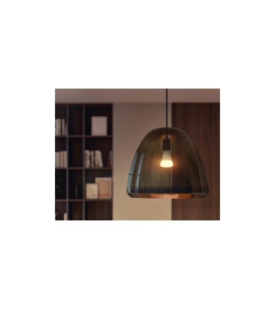 Ampoule LED Intelligente E27 15.5W 1600 lm A67 Hue White - 85807 - vue 6