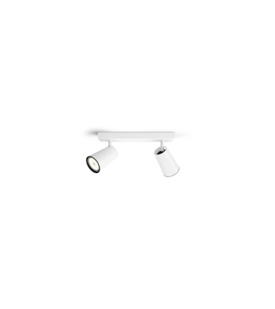Plafonnier PHILIPS Paisley 2 Spots