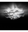 Plafonnier Etoile Ceiling/Wall SLAMP - 81095 - vue 1