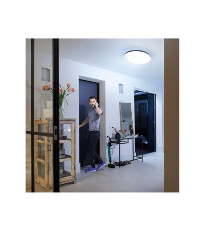 Plafonnier LED CCT White Ambiance Cher 33.5W Hue - 85520 - vue 4