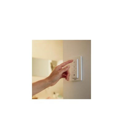 Plafonnier LED CCT White Ambiance Cher 33.5W Hue - 85520 - vue 5