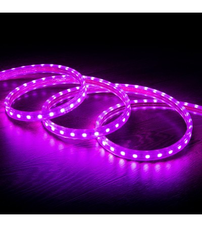 Ruban LED RGB 220V SMD 60 LED/m 10W/m Largeur 16mm Coupe 100cm IP65 avec Télécommande IR Sur mesure - 76208 - vue 8