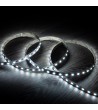 Ruban LED 24V DC 60LED/m RBGW 5m IP20 Largeur 12mm Coupe tous les 10cm - 75820 - vue 6