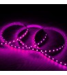 Ruban LED 24V DC 60LED/m RBGW 5m IP20 Largeur 12mm Coupe tous les 10cm - 75820 - vue 7