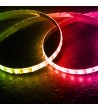 Ruban LED 24V RGBW SMD 60LED/m 5m 12W/m Largeur 12mm Coupe 10cm IP65 - 75807 - vue 3