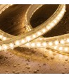 Ruban LED CCT 220V AC 220LED/m IP67 Largeur 15mm Coupe tous les 100cm - 91929 - vue 2