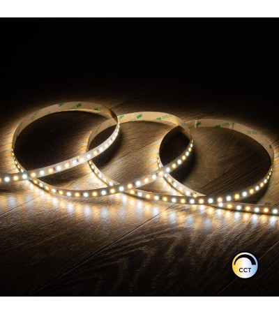 Ruban LED 24V SMD CCT 120 LED/m 5m 10W/m 800lm/m Largeur 10mm Coupe 10cm IP20