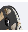Ruban LED RGBWWIC Numérique SPI 24V DC 60LED/m 5m IP20 Largeur 12mm coupe tous les 10 cms - 104531 - vue 4