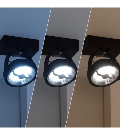 Spot LED 15W CREE en Saillie Orientable AR111 Dimmable Noir - 4750 - vue 2