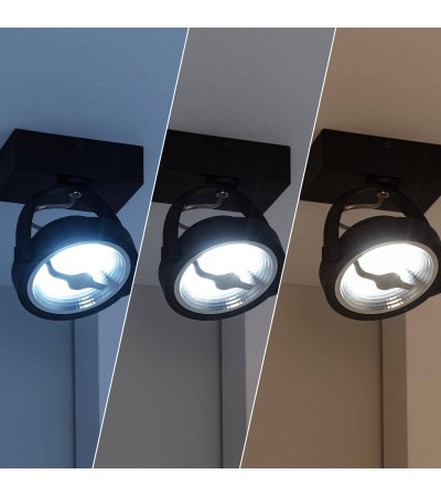 Spot LED 15W CREE en Saillie Orientable AR111 Dimmable Noir - 4750 - vue 4