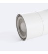 Spot LED 35W sur Rail Triphasé Dann CCT CRI 90° No Flicker Dimmable DALI Blanc - 115971 - vue 4