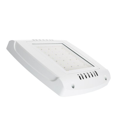 Spot LED Canopy Spécial Stations-Service 100W LUMILEDS 150lm/W Driver Philips Xitanium Dimmable 1-10V