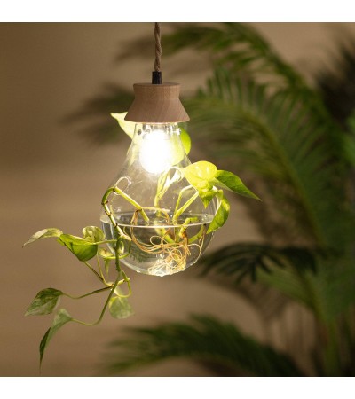 Suspension Bois et Verre Kathu Bumbieris - 72563 - vue 6