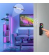 Télécommande RGB/RGBW SKYDANCE RS9 pour Contrôleur RF - 70902 - vue 2