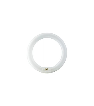 Tube circulaire C-T29 G10q à˜40 cm Cristal Une Connection 40W Super 80